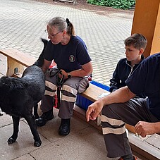 Foto eines Kindes mit zwei Hundeführern und zwei Hunden