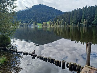 Foto eines Sees