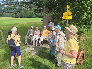 TeilnehmerInnen sitzen auf Bank und stehen in der Natur während der Kräuterwanderung