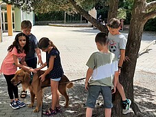 Einige Kinder streicheln einen Hund im Schatten eines Baumes
