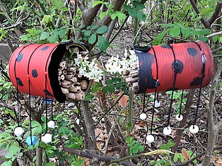 Foto von den gebastelten Insektenhotels im Wald. Sie bestehen aus mit Stöcken gefüllten Konservendosen. Sie wurde bemalt wie Marienkäfer