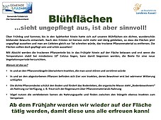 Blühflächen, sieht ungepflegt aus, ist aber sinnvoll!