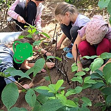 Foto einiger Kinder im Wald