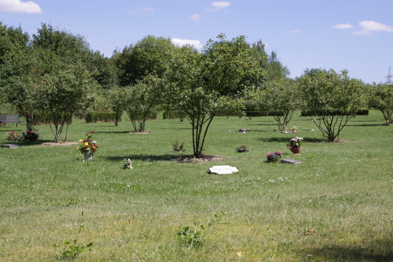 Friedhof Bergshausen