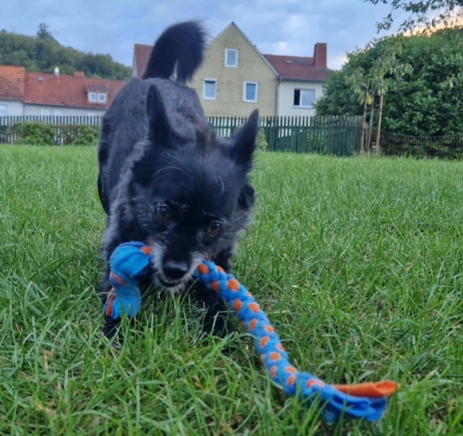 Ferienbetreuung 2023 2. Woche