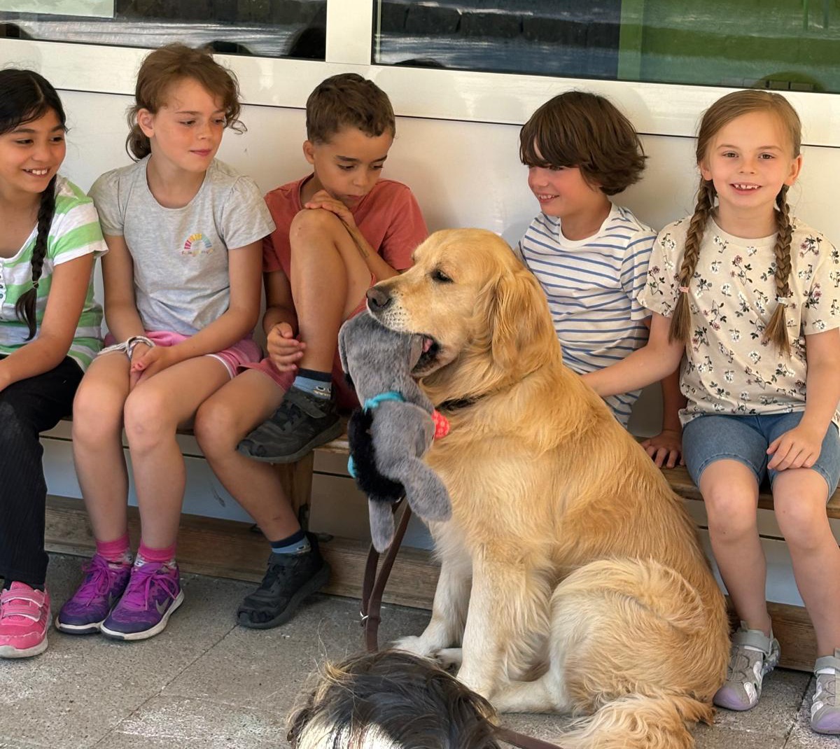 Hunde in der  Sommerferienbetreuung KW 31