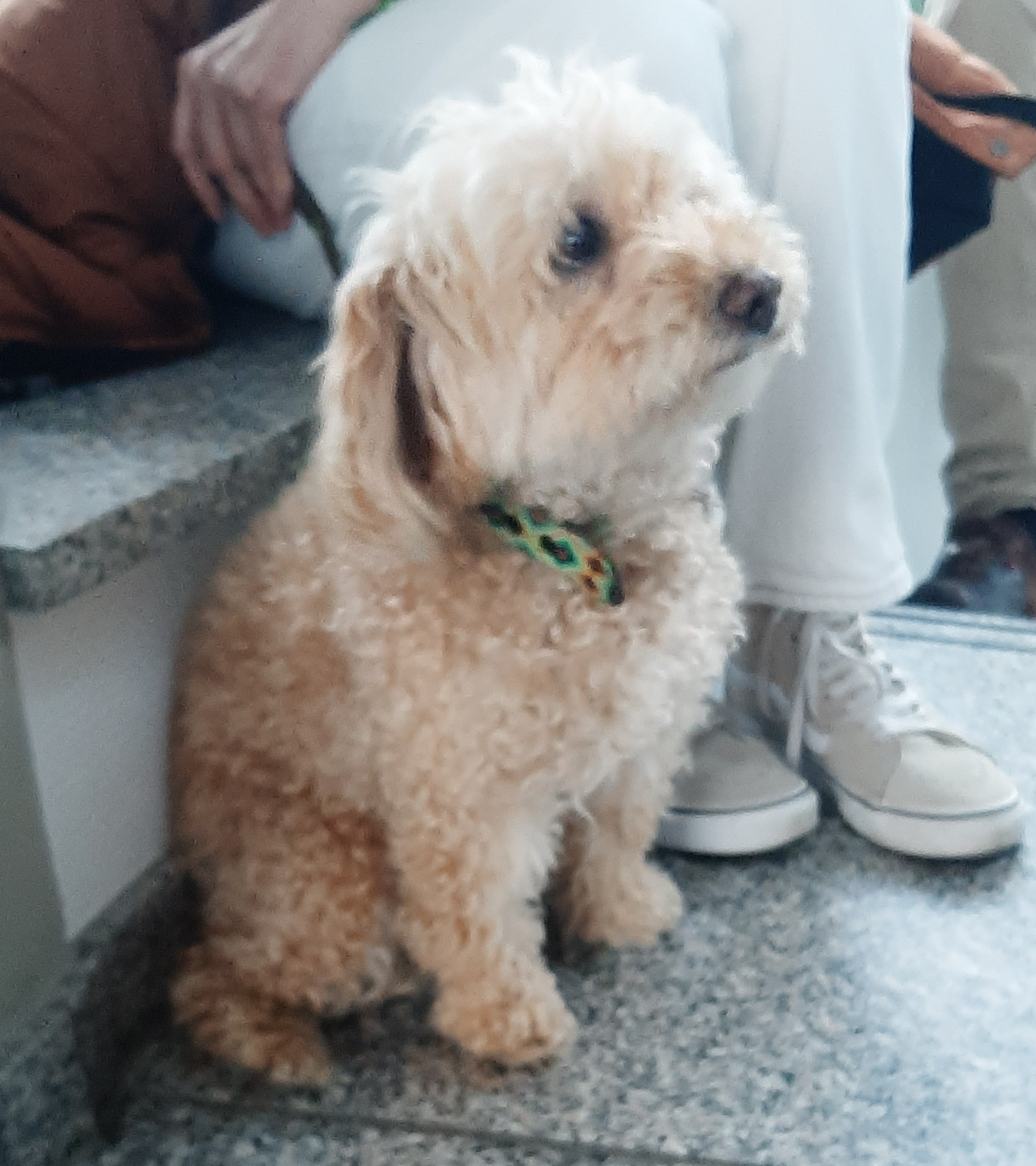 14. Rathauskonzert in Fuldabrück